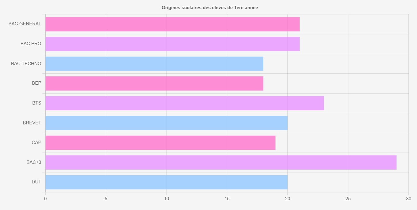 Légende : Les étudiants ont manipulé des données de notre établissement. Ils ont dû les mettre en forme visuellement pour faciliter la lecture.